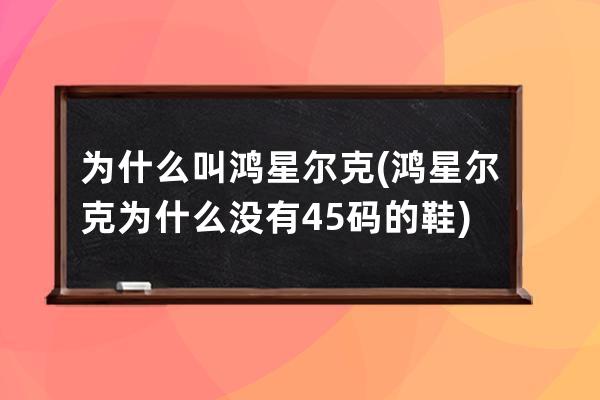 为什么叫鸿星尔克(鸿星尔克为什么没有45码的鞋)