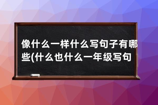 像什么一样什么写句子有哪些(什么也什么一年级写句子)