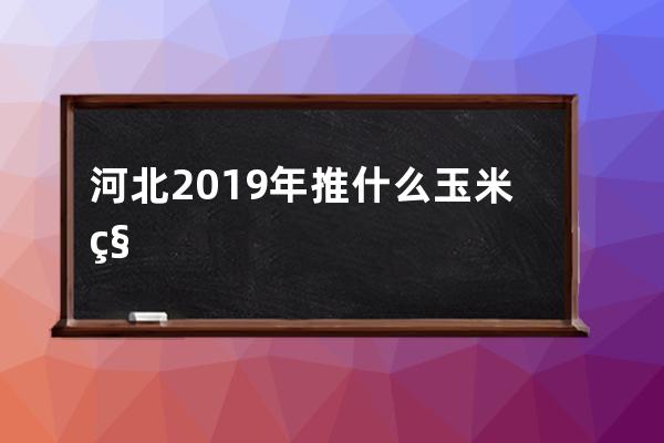 河北2019年推什么玉米种 简介玉米提高产量有哪些方法