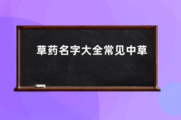 草药名字大全 常见中草药名称列表