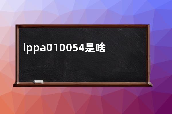 ippa010054是啥